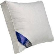 Ten Cate 90/10 Eendendonzen Boxkussen - 50x60 cm