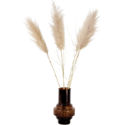Droogbloemen - Set van 5 - Dryflower 'Cortaderia Plum' - Droogbloemen