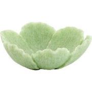 Light & Living - Schaal FRESIA - 20.5x19.5x7.5cm - Groen