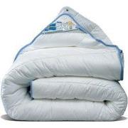 Swedish Sky - Luxe Non-Allergisch Wasbaar 4-Seizoenen Dekbed - Het Ech...