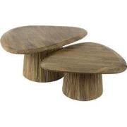 Salontafel Naturel Mangohout - Set van 2 - 93x72x43cm - Wave