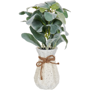 PEPEROMIA ARGYREIA - Kunstplant - Groen - 30 cm - Synthetisch