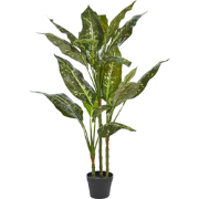 DIEFFENBACHIA - Kunstplant - Groen - 110 cm - Synthetisch materiaal