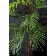 PTMD Kunstplant Palm Tree - 68x86x145 cm - Plastic - Zwart