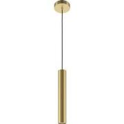Maytoni - Hanglamp Pro Focus - Goud - Ø6