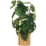 MONSTERA ADANSONII - Kunstplant - Groen - 53 cm - Synthetisch