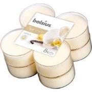 Maxilicht geur 8 stuks True Scents Vanille