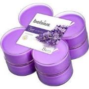 Maxilicht geur 8 stuks True Scents Lavendel