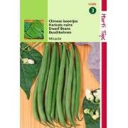 5 stuks - HT Stamslabonen, chinese boontjes Miracle, 25g