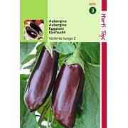 2 stuks - Aubergine Halflange Violette