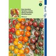 2 stuks - Tomaten Cherry 4 kleuren