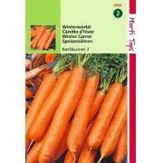 2 stuks - HT Wortelen Berlikumer 2