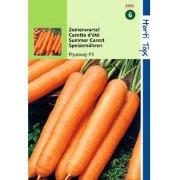 2 stuks - HT Wortelen Flyaway F1