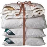 Ten Cate 90% Ganzendonzen 4 seizoenen dekbed 240x220 + 2 eendenveren h...