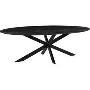 Eettafel James 240x110x76 cm