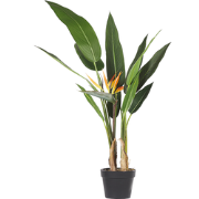 STRELITZIA TREE - Kunstplant - Groen - Synthetisch materiaal