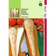 2 stuks - Pastinaak Guernsey Pinksternakel