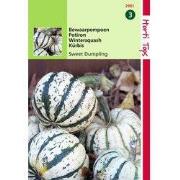 2 stuks - HT Bewaar pompoen Sweet Dumpling (wintersquash)