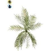 Fish bone fern bush UV 70 cm Emerald