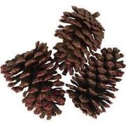 Clayre & Eef Decoratie Dennenappel Set van 3 8/10 cm Bruin Hout