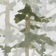 Mistig dennenbos - Kinderbehang - 194,8 cm x 280 cm - Walloha