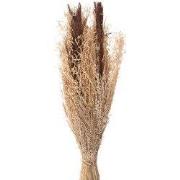 Clayre & Eef Droogbloemen 60 cm Bruin Droogbloemen