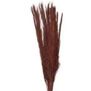 Clayre & Eef Droogbloemen 85 cm Rood Droogbloemen