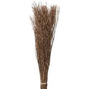 Clayre & Eef Droogbloemen 80 cm Beige Droogbloemen