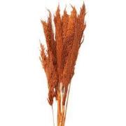 Clayre & Eef Droogbloemen 90 cm Oranje Droogbloemen