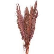 Clayre & Eef Droogbloemen 100 cm Roze Droogbloemen