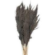 Clayre & Eef Droogbloemen 100 cm Grijs Droogbloemen