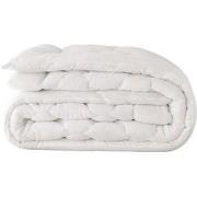 Dekbed Koraalvlies - Douce Nuit - Zydante Swisstech - 200x220 cm