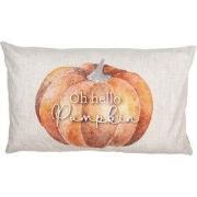 Clayre & Eef Kussenhoes 30x50 cm Beige Polyester Pompoen