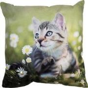 Clayre & Eef Kussenhoes 45x45 cm Groen Polyester Kat