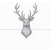 Clayre & Eef Servetten Papier Set van 20 33x33 cm Wit Papier Hert