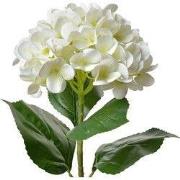 Clayre & Eef Kunstbloem Hortensia 68 cm Beige Kunststof