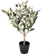 Clayre & Eef Kunst Olijfboom 50 cm Groen Kunststof