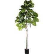 PTMD Kunstplant Ficus - 118x85x183 cm - Polyester - Groen