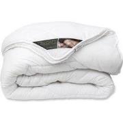 Ten Cate Dekbed - Dekbed 140 x 200 - Dekbedden - 4 Seizoenen Dekbed 14...