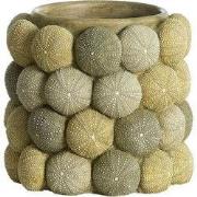 Light & Living - Vaas SEA URCHIN - Ø20.5x18cm - Groen