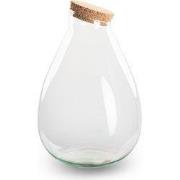 URBANJNGL - Terrarium fles ‘Drop XL’ met kurk - Gesloten terrarium  Ø ...