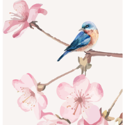 Japanse kersenbloesem - Kinderbehang - 194,8 cm x 280 cm - Walloha
