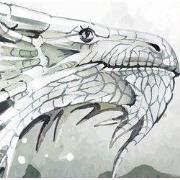 Drakendrift - Kinderbehang - 389,6 cm x 280 cm - Walloha