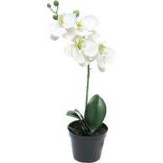 RT Phalaenopsis Bora x1 in pot 35 cm white kunstbloemen