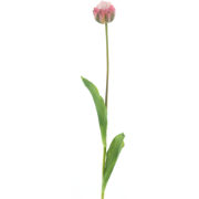 PSO Tulip spray Paris Sally pink 79 cm kunstbloem