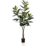 Ficus elastica tree 65lvs/180 cm