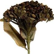 Clayre & Eef Kunstbloem 15x15x47 cm Groen Kunststof