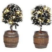 Buxus Tree in Barrel - 2 st.