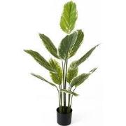 Kunstplant Calathea Large - Groen - 70x70x116cm