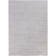 Cara vloerkleed - Cubico Modern Japandi - Zilver - 160 X 230 CM